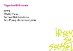 Yaşamları Biriktirmek