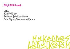 Bilgi Biriktirmek
